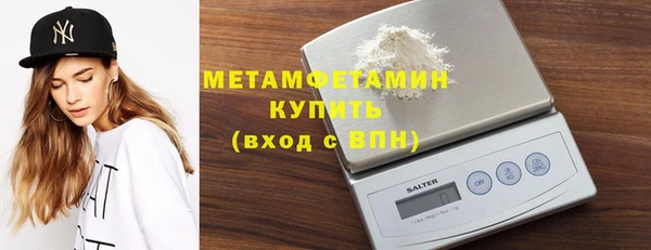 шишки Новодвинск
