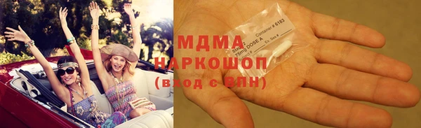 шишки Новодвинск