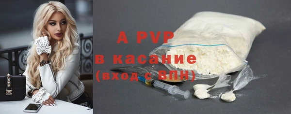 шишки Новодвинск