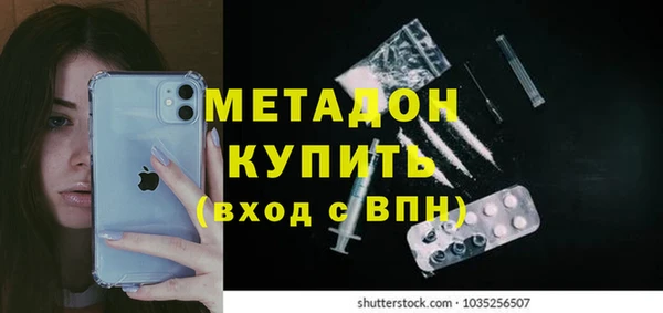 шишки Новодвинск