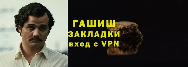 шишки Новодвинск