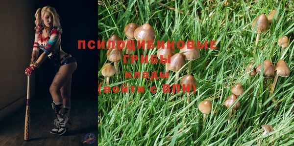 мяу мяу кристалл Новозыбков