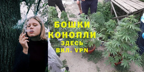 амф Нягань