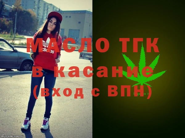 шишки Новодвинск