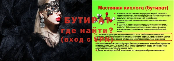 шишки Новодвинск