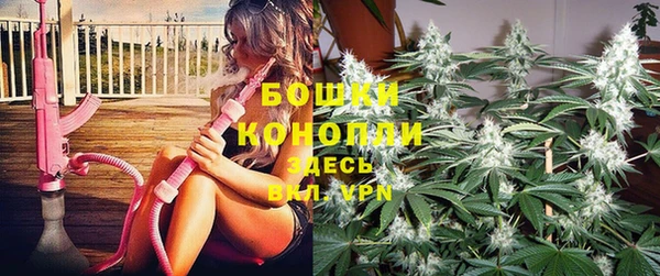 шишки Новодвинск